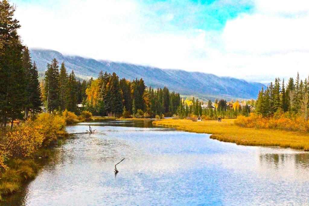 Luxury Canmore Vacations Eksteriør billede